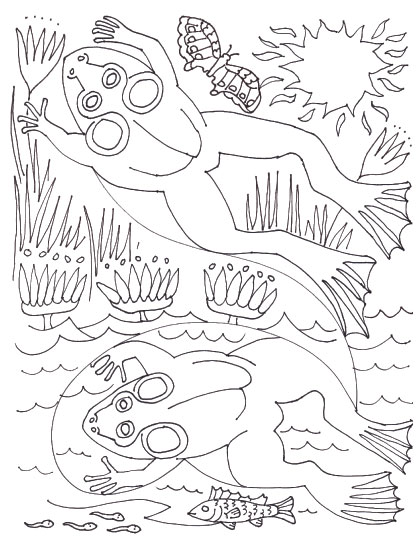 Why I Love Frogs So Much Cover Illustration by Rick Clement